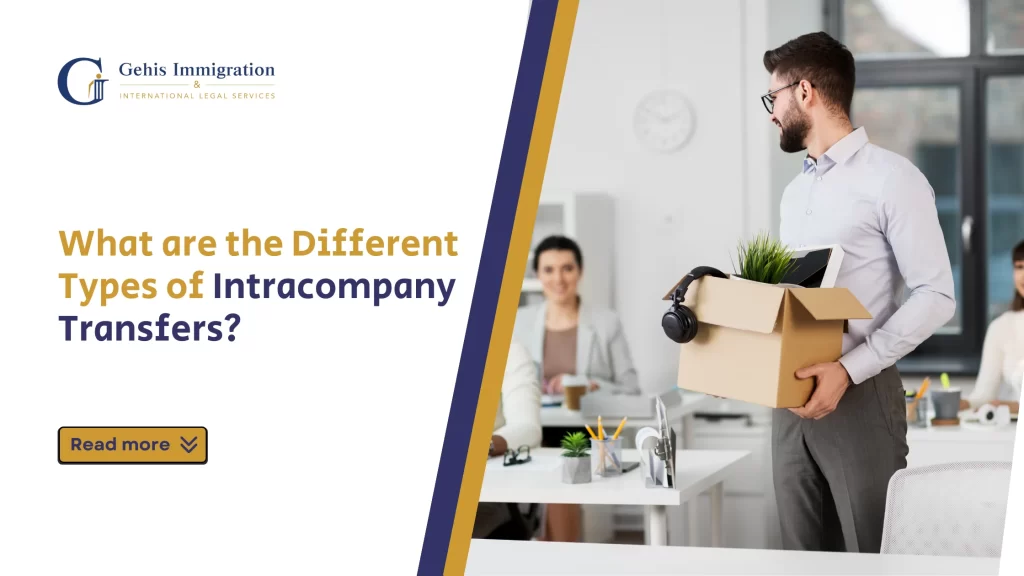 What are the Different Types of Intracompany Transfers